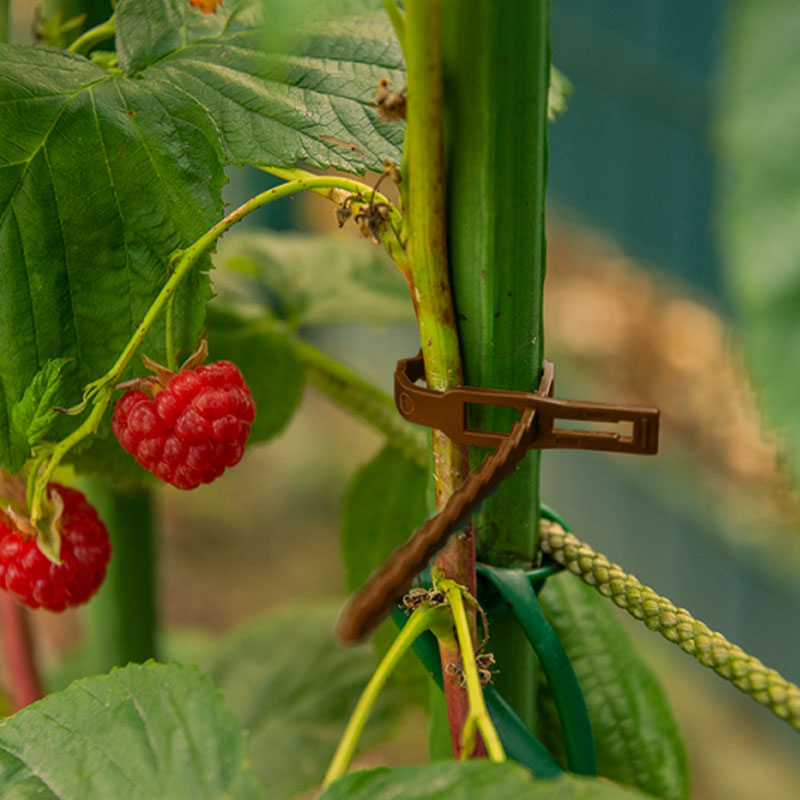 Bradas nyitható gyorskötöző növényekhez 170/5,4mm, barna