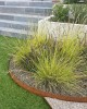 Acél kerti ágyásszegély CORE Edge, 1m x 6,5cm, corten