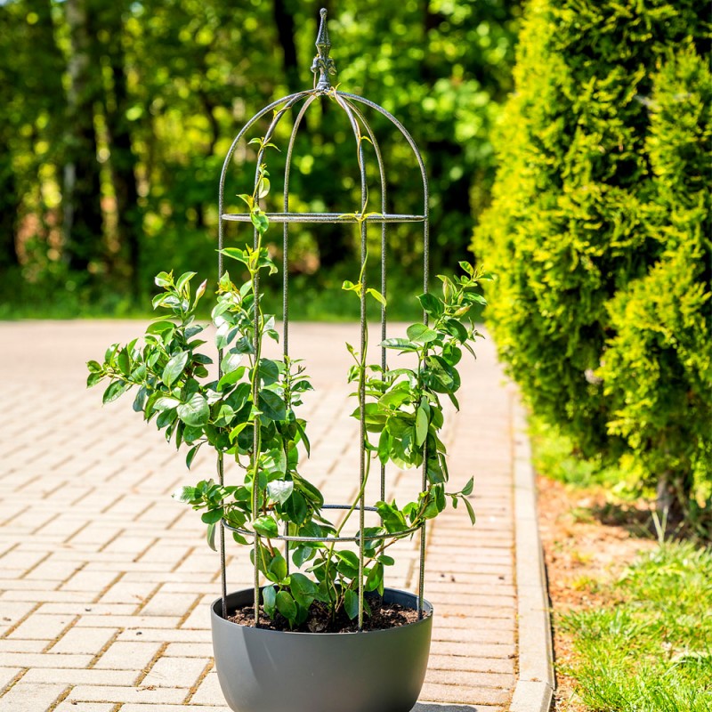 Obeliszk formájú futtatórács, köríves, 80 cm