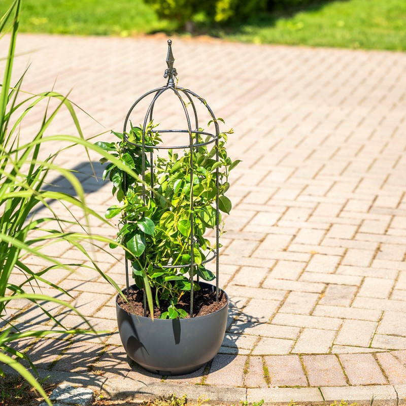 Obeliszk formájú futtatórács, köríves, 80 cm