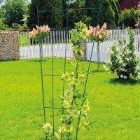 Kerti fém futtatórács, növényfuttató rács, Vénusz